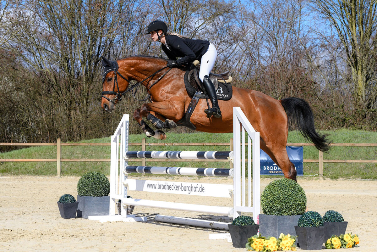 DSC 5012  scaled - Canzona