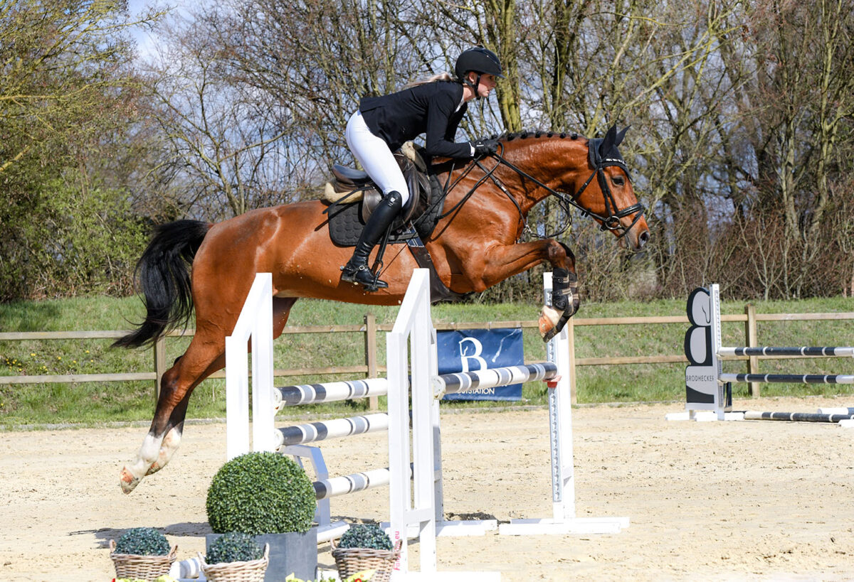 DSC 5016  scaled - Canzona