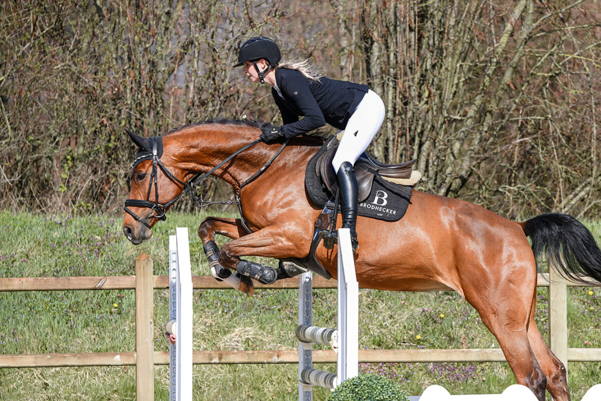 DSC 5019  scaled - Canzona