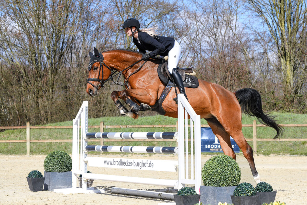 DSC 5028  scaled - Canzona