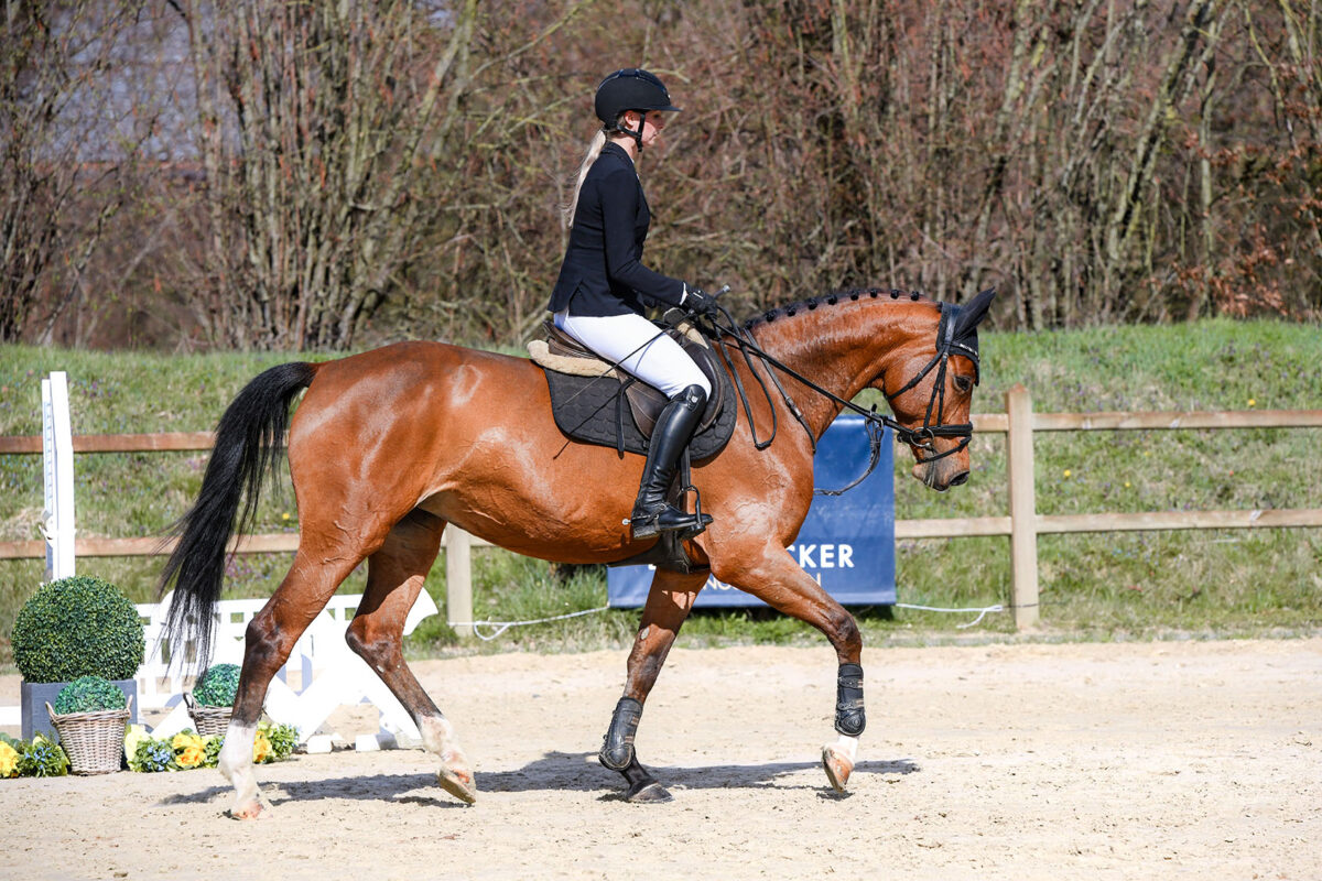 DSC 5037  scaled - Canzona