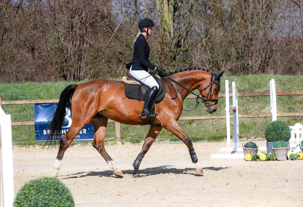 DSC 5126  scaled - Canzona