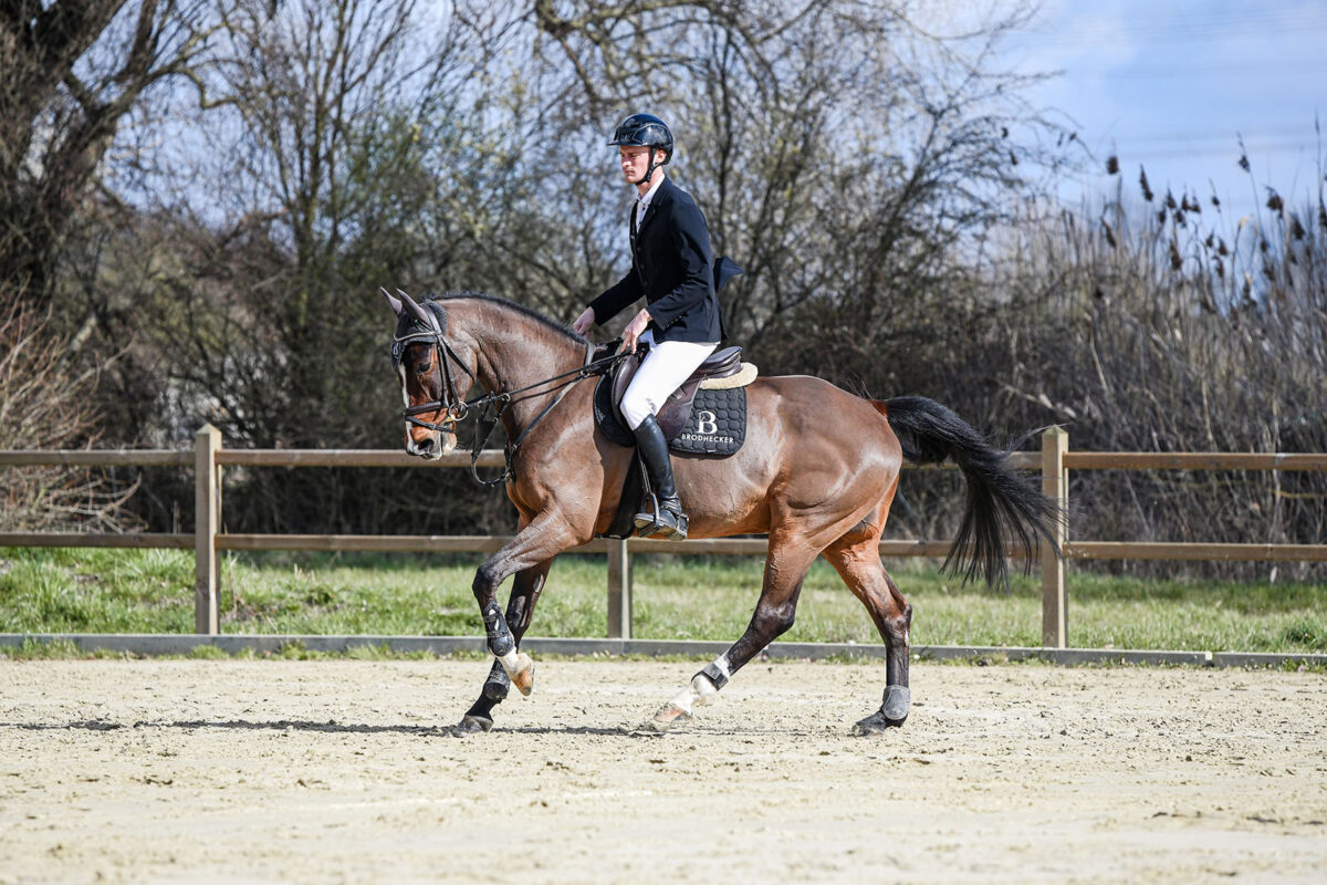 DSC 5181  scaled - Cooper