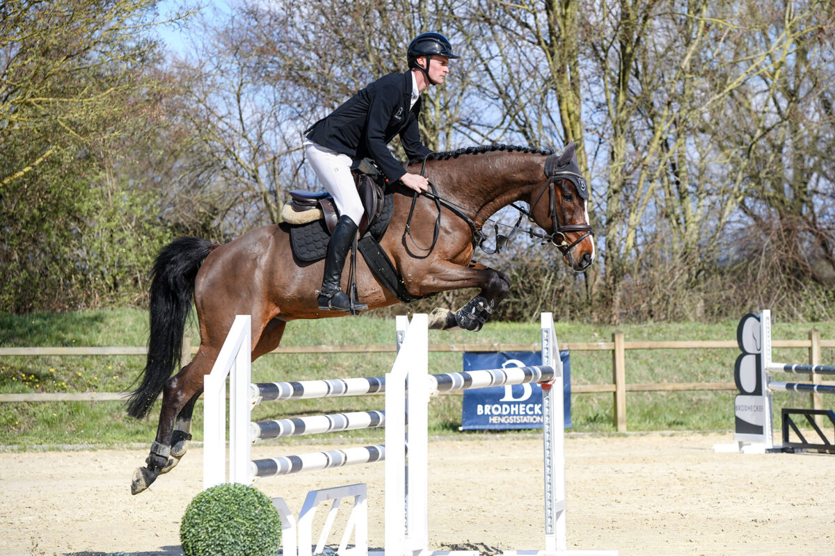 DSC 5286  scaled - Cooper