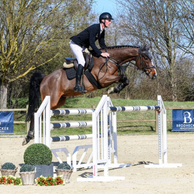 Sportpferde DSC 5308 scaled e1773931382907 400x400 - Sportpferde