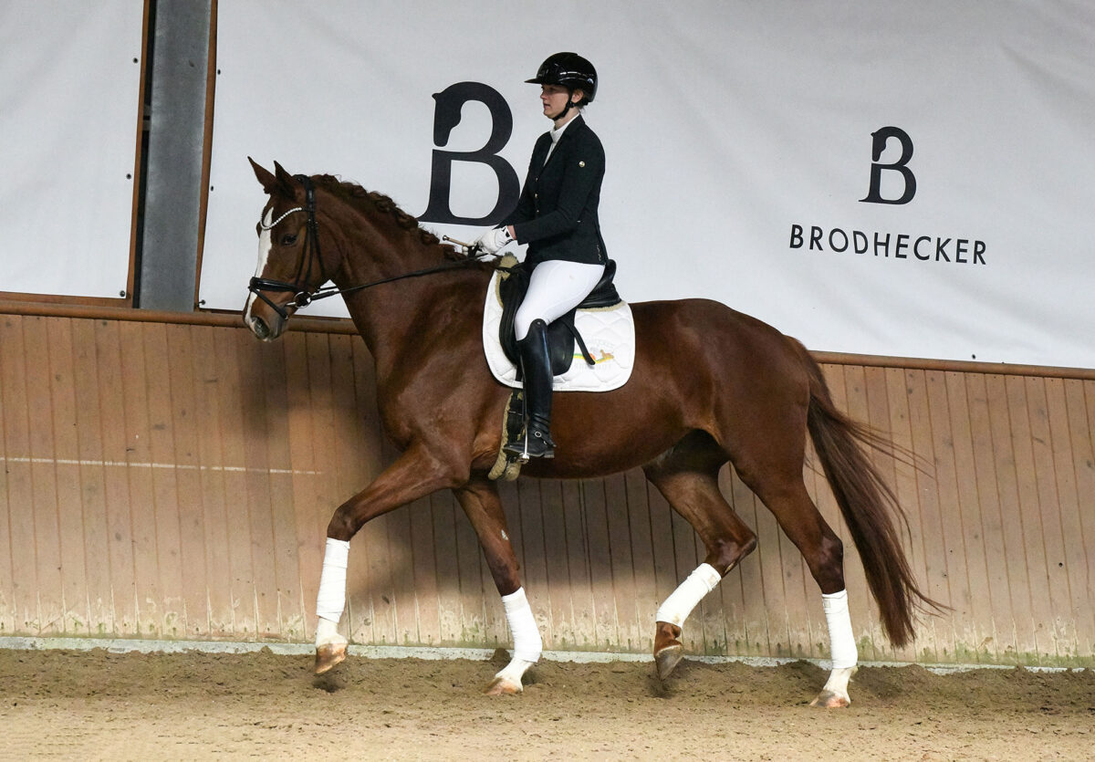 DSC 5435  scaled - For Dorle