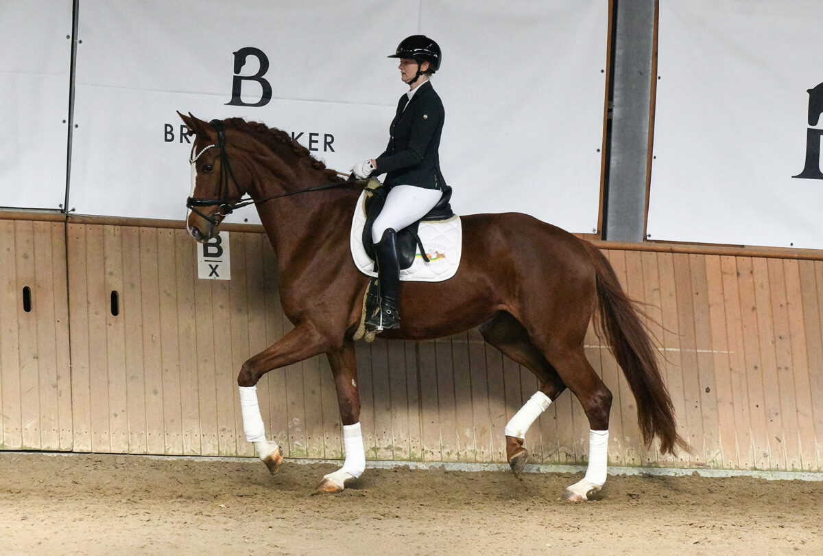 DSC 5440  scaled - For Dorle