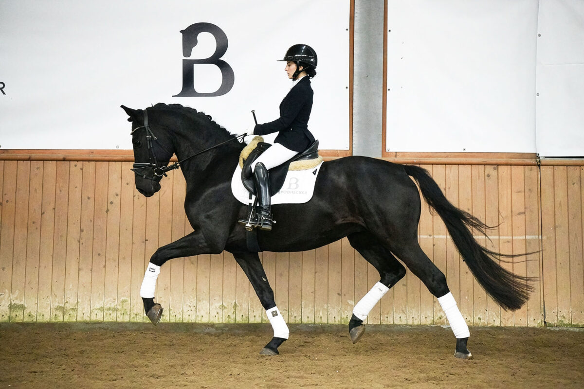 Fiderio DSC 5559 scaled - Fiderio