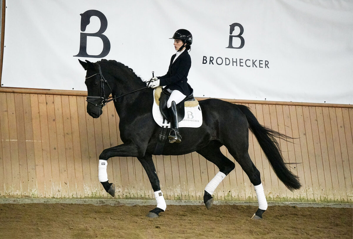 Fiderio DSC 5586 scaled - Fiderio