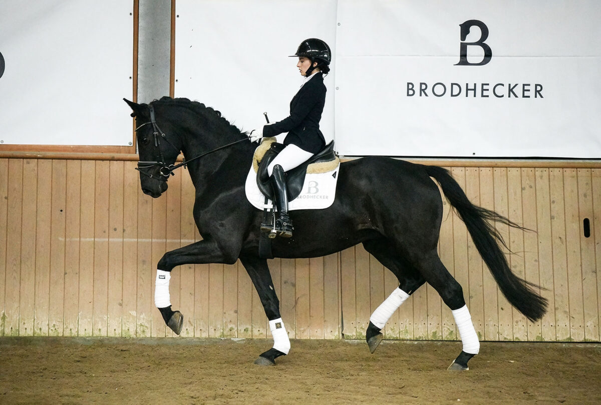 Fiderio DSC 5596 scaled - Fiderio