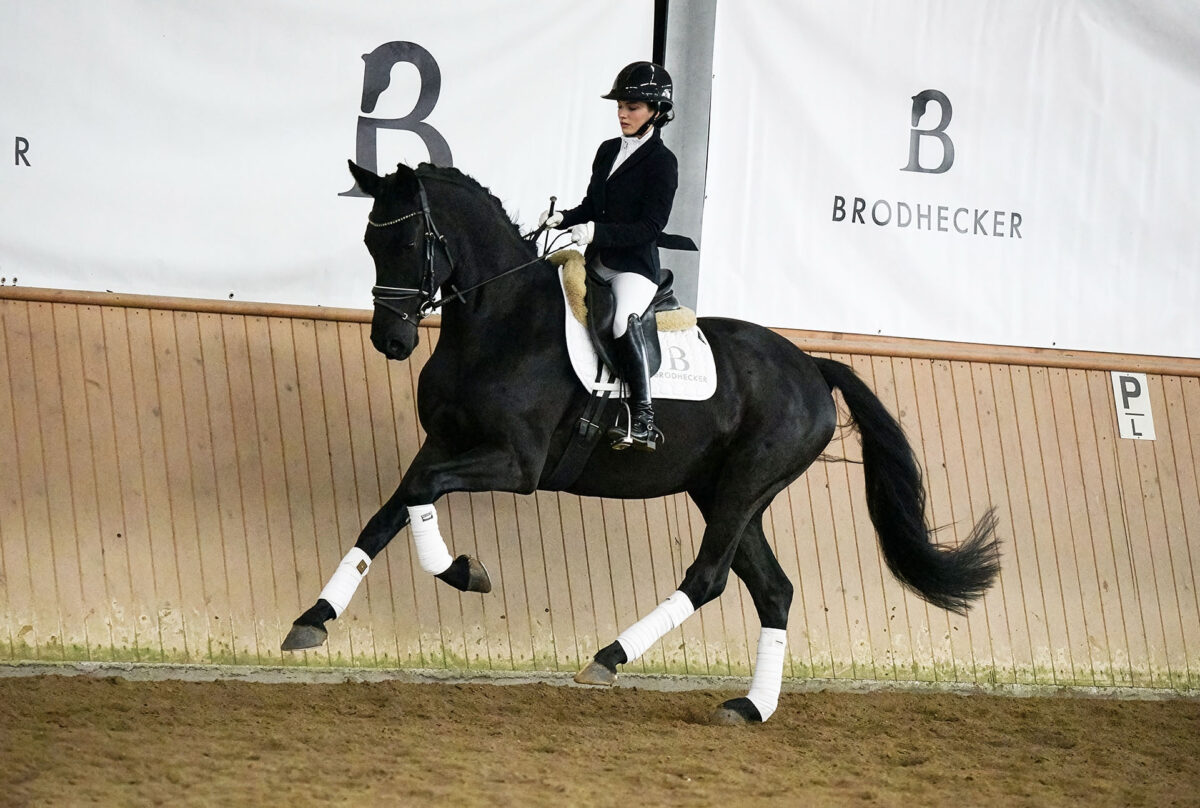 Fiderio DSC 5647 scaled - Fiderio