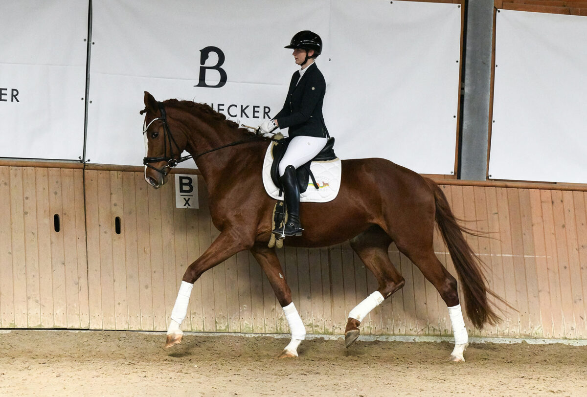 DSC 5695  scaled - For Dorle