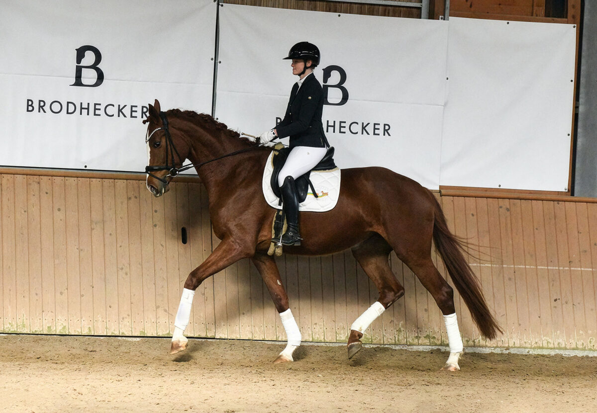 DSC 5797  scaled - For Dorle