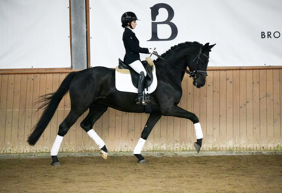 Fiderio DSC 5851 scaled - Fiderio