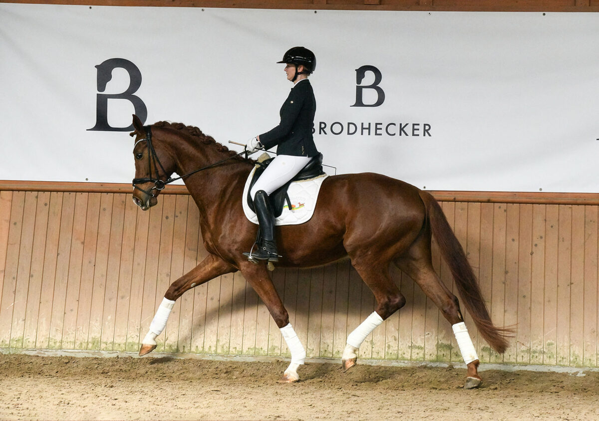 DSC 5856  scaled - For Dorle