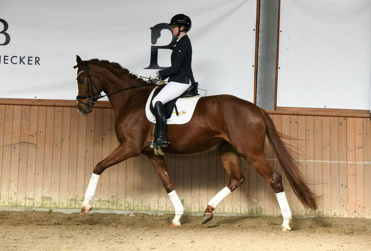 DSC 5902  scaled - For Dorle