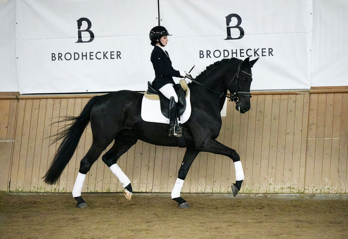 Fiderio DSC 5953 scaled - Fiderio