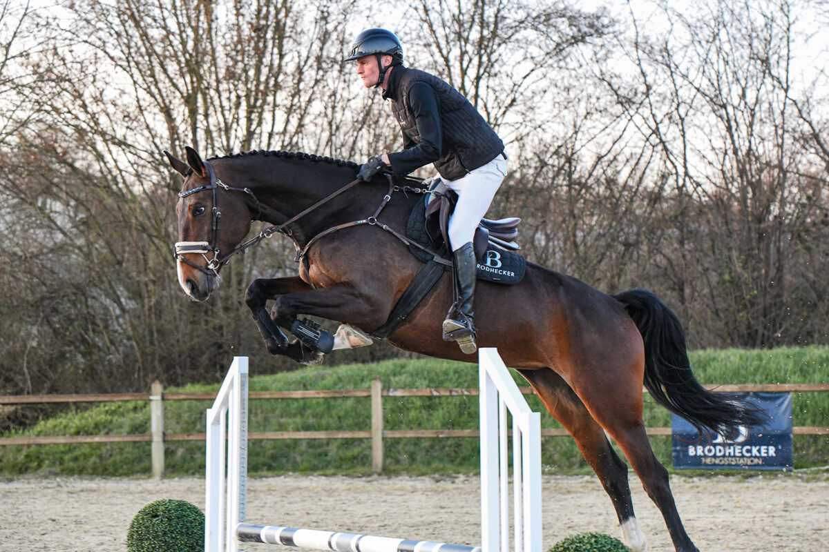 DSC 6082  scaled - Zuckerschnute