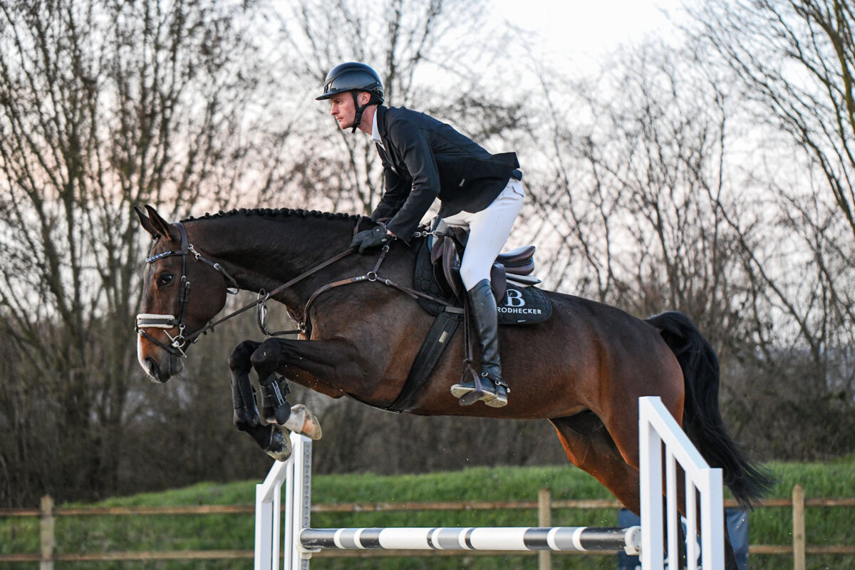 DSC 6294  scaled - Zuckerschnute