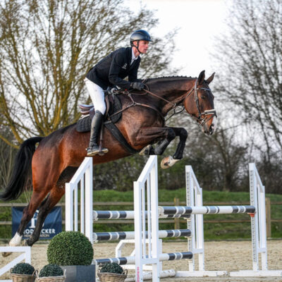 Sportpferde DSC 6297 scaled 400x400 - Sportpferde