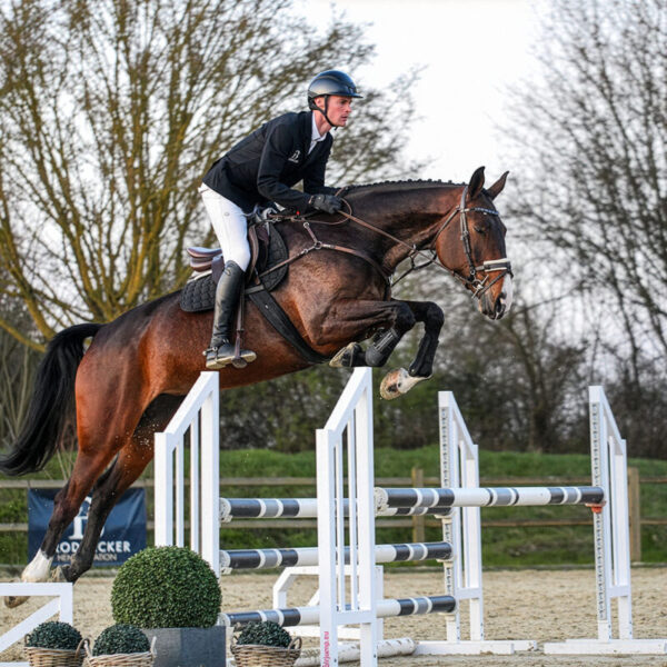 DSC 6297  scaled 600x600 - Home