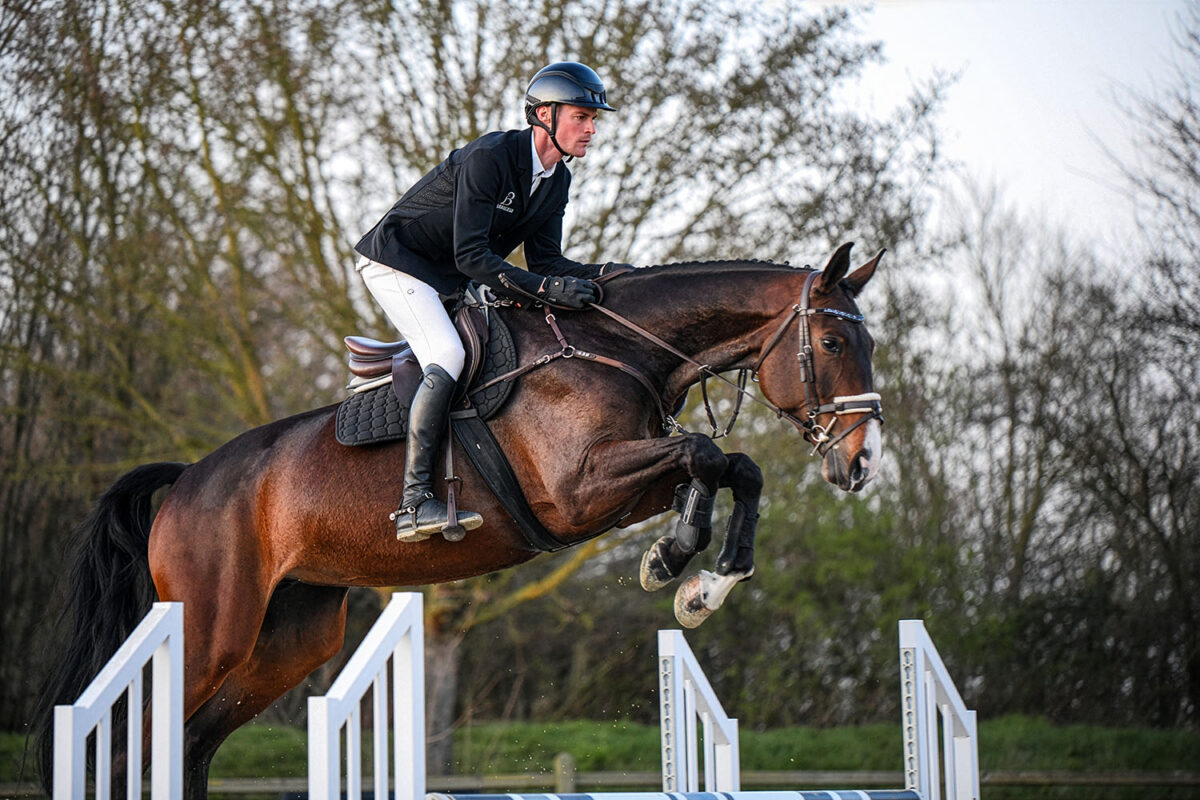 DSC 6301  scaled - Zuckerschnute