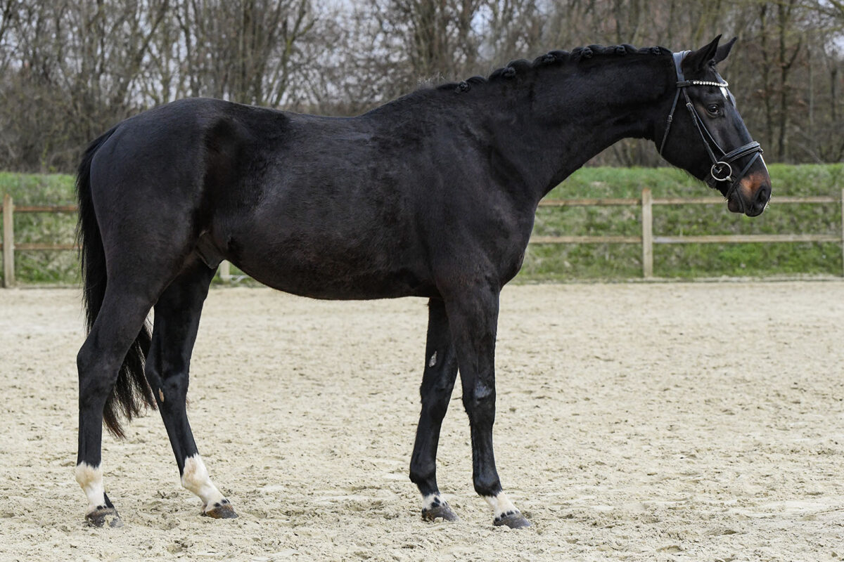 Marvel DSC 6441 scaled - Marvel