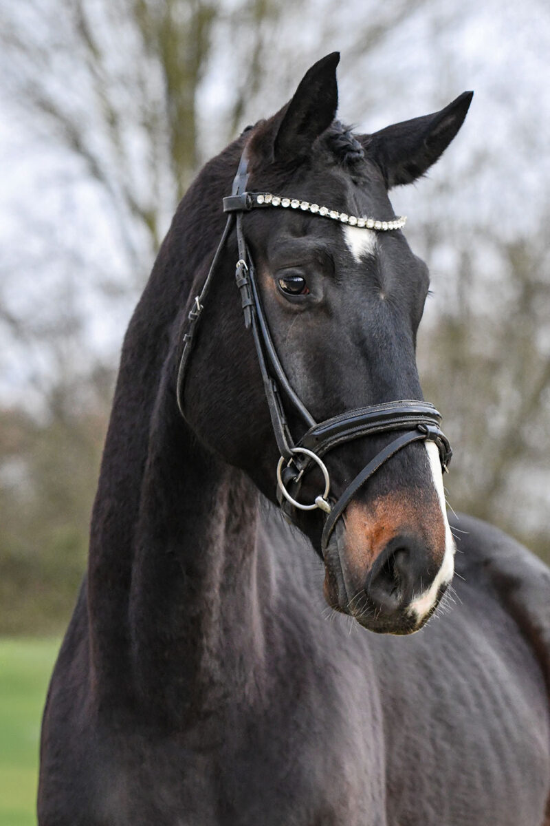 Marvel DSC 6522 scaled - Marvel