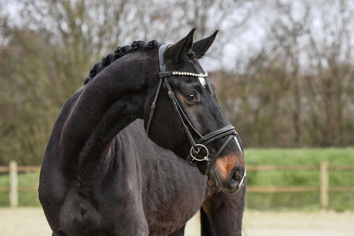 Marvel DSC 6551 scaled - Marvel