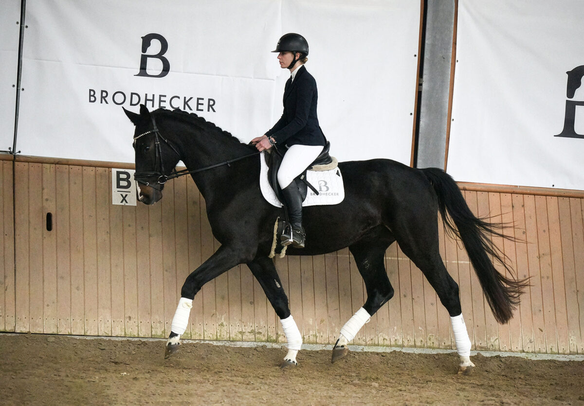 Marvel DSC 6750 scaled - Marvel