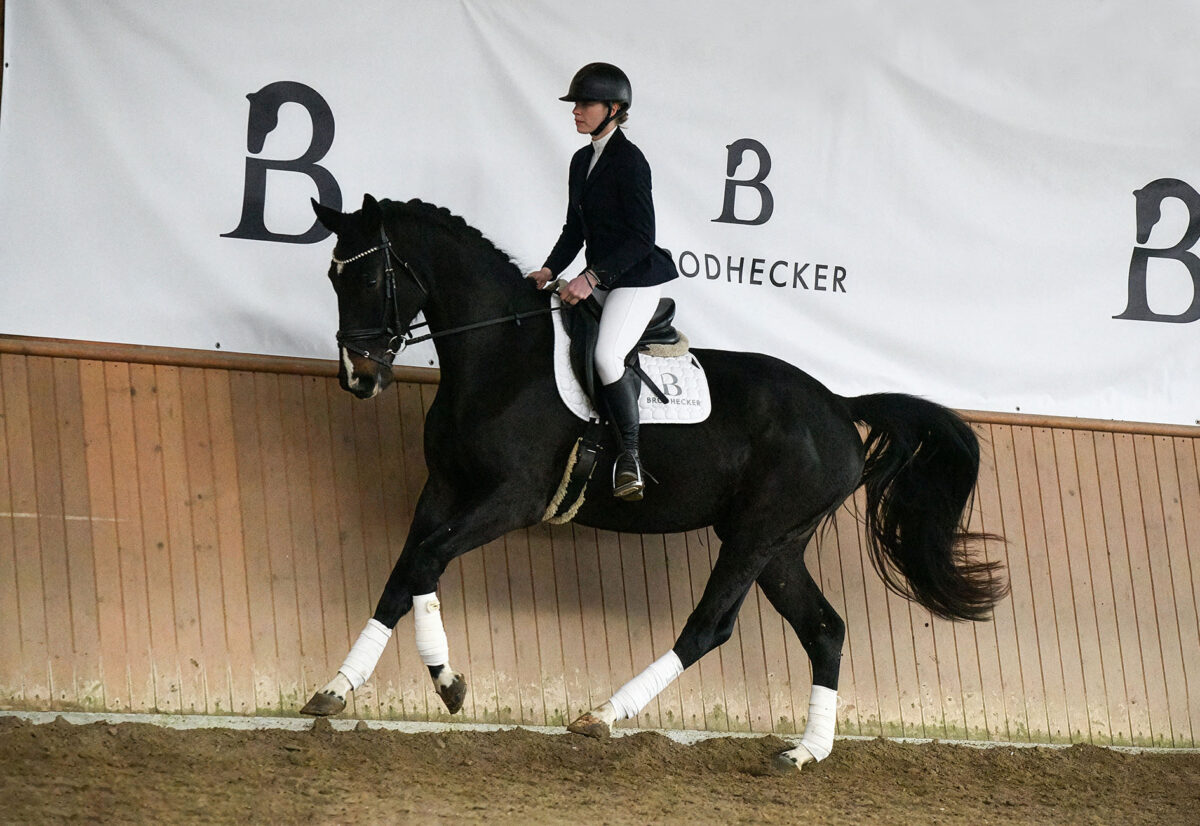 Marvel DSC 7057 scaled - Marvel