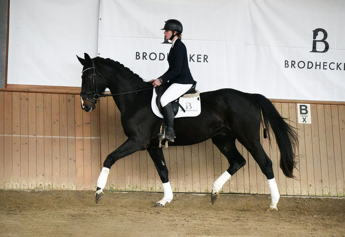 Marvel DSC 7147 scaled - Marvel