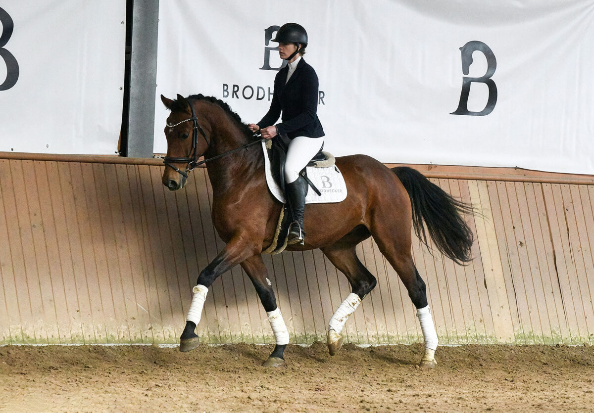 DSC 7713  scaled - Beach Boy