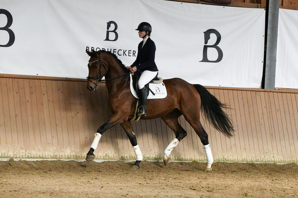 DSC 7775  scaled - Beach Boy