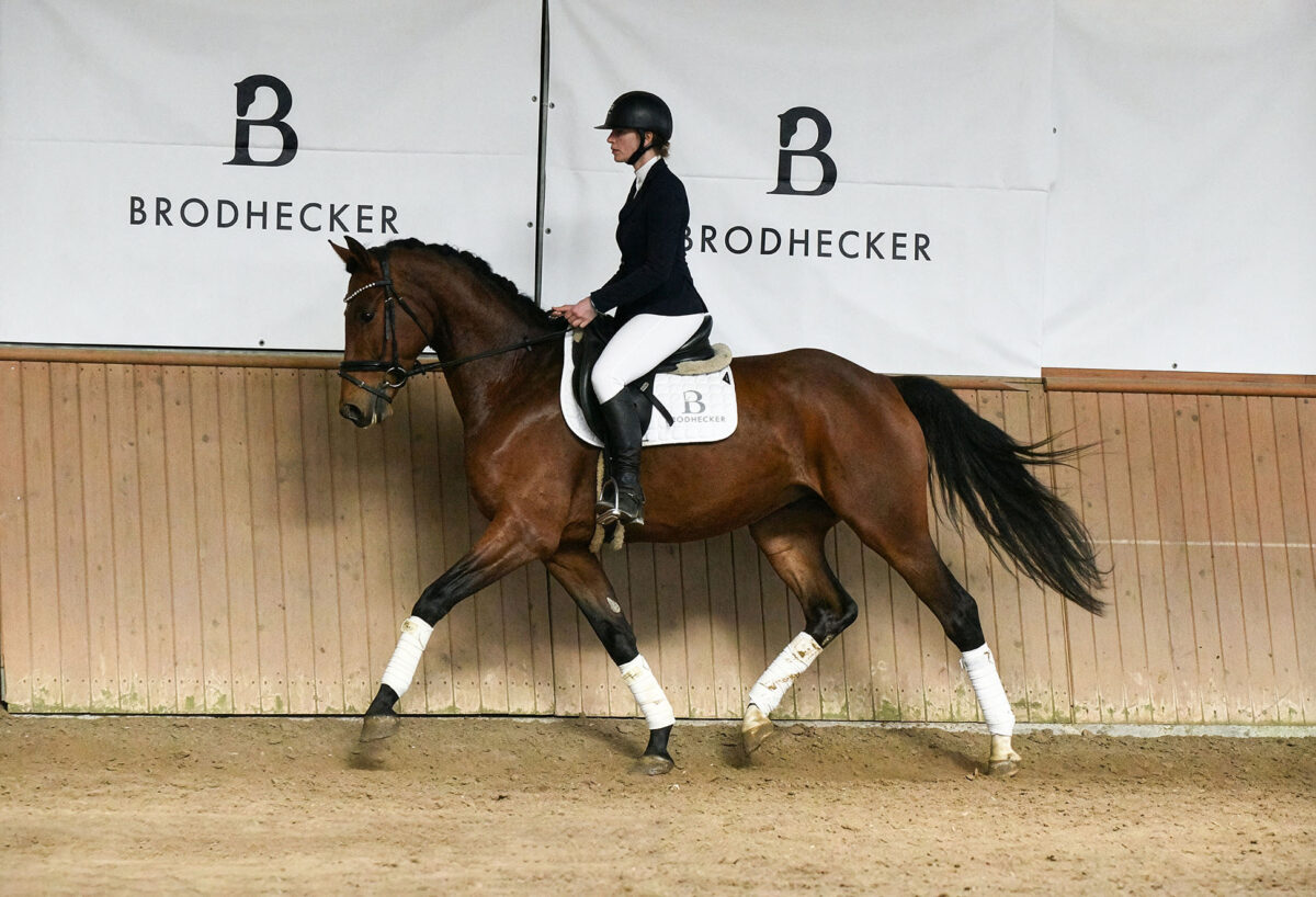 DSC 7785  scaled - Beach Boy