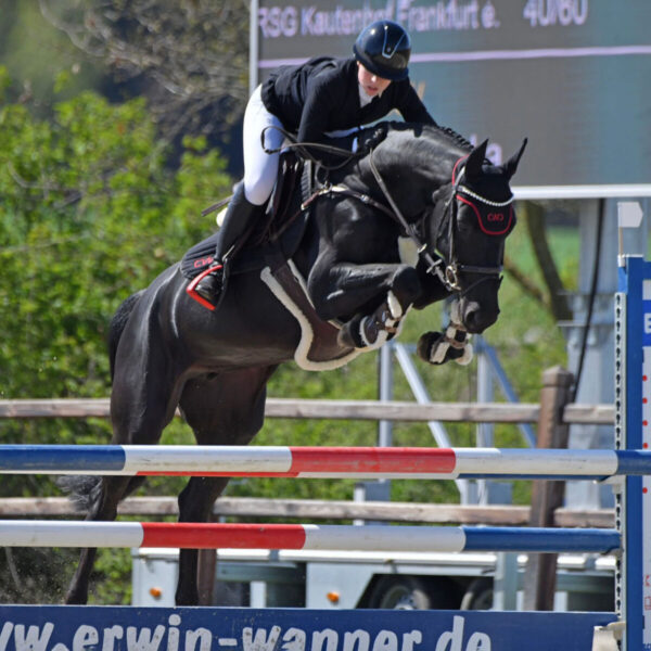 Darki 2 Q scaled 600x600 - Home