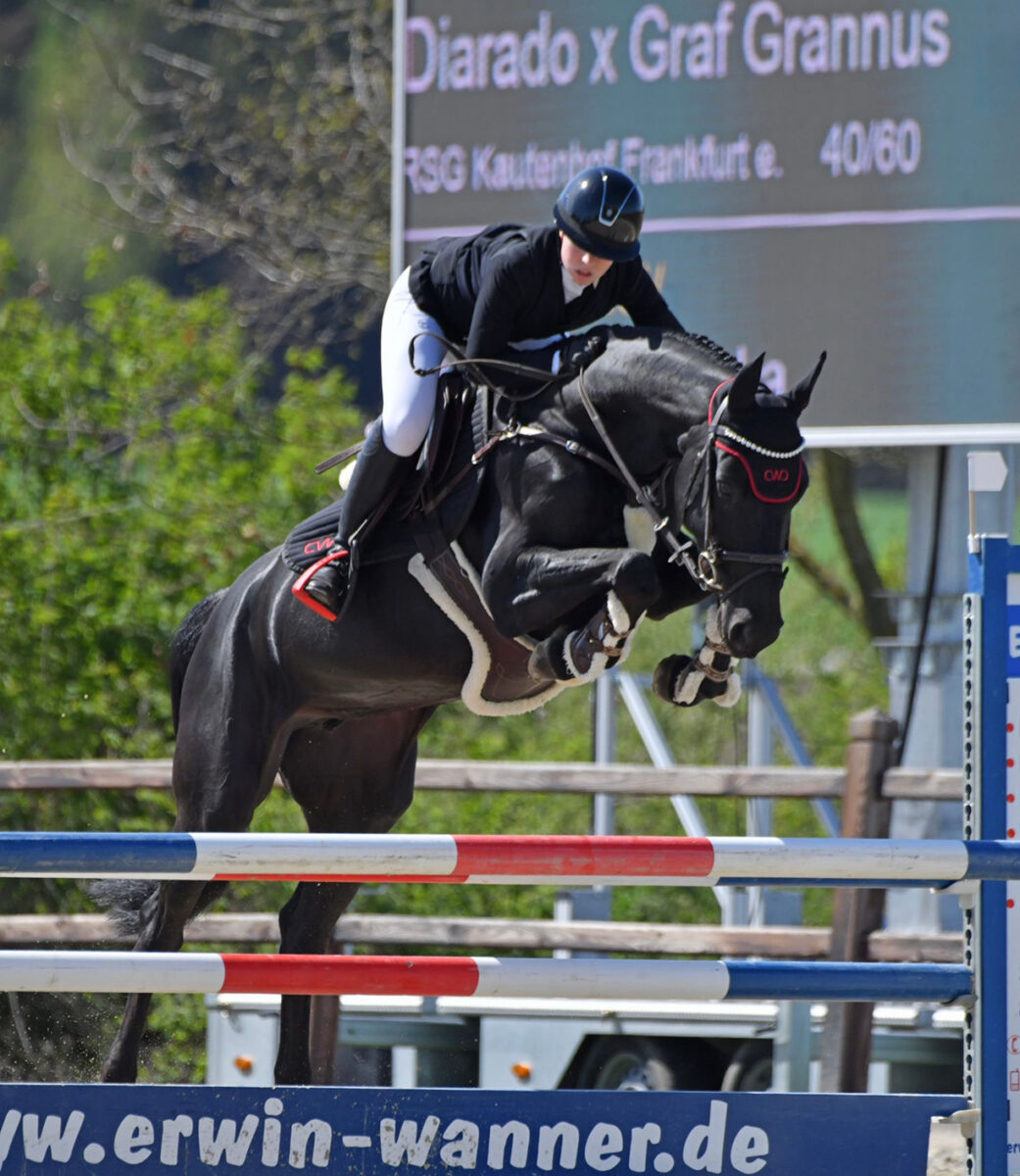 Don't forget me Darki 2 scaled - Don't forget me