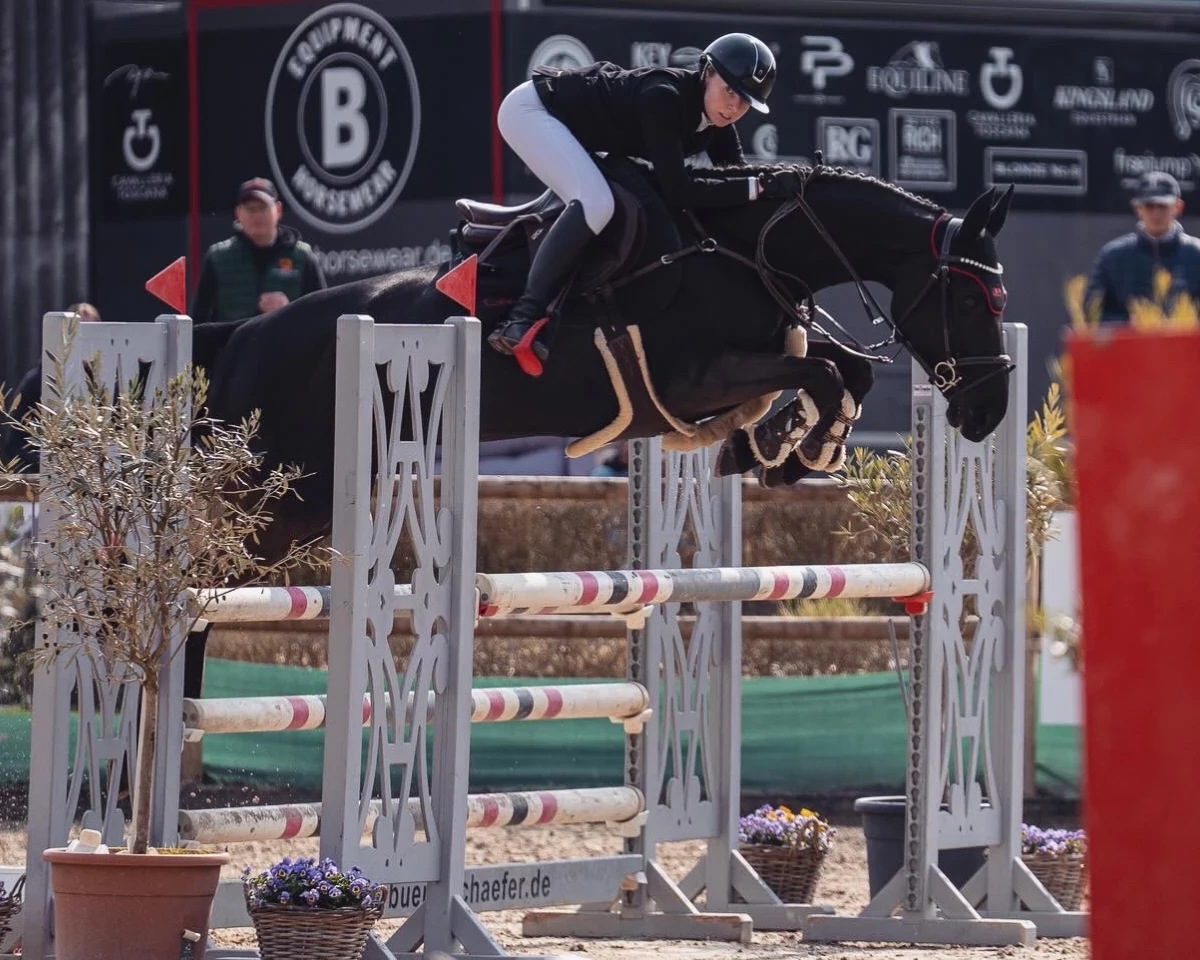 Don't forget me Darki - Don't forget me