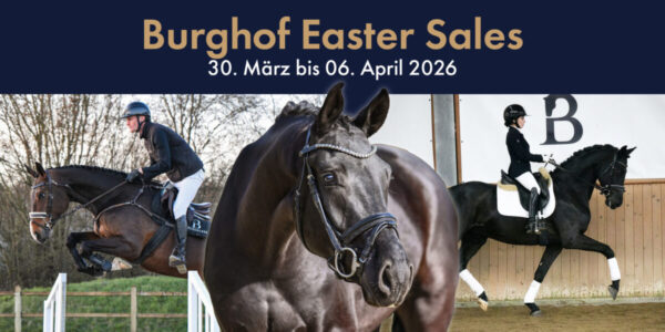 Titelbild Easter Sales 2026 WEB scaled 600x300 - Home