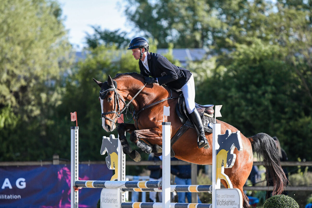 DSC 1258 scaled - Chenoa Blue
