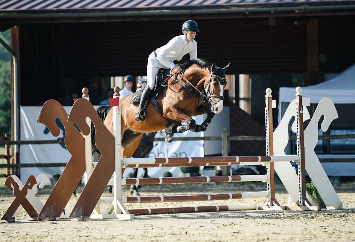 DSC 4545 scaled - Chenoa Blue
