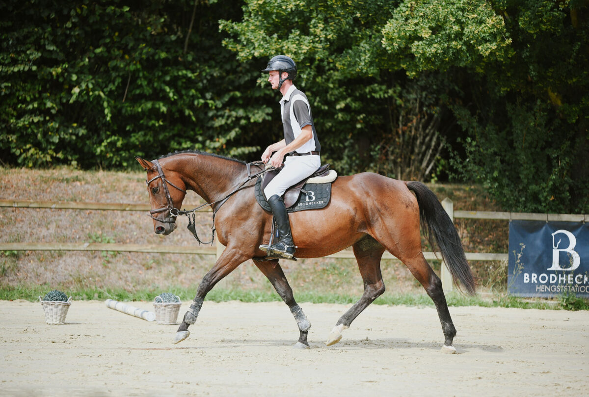 DSC 6375 scaled - Casiella