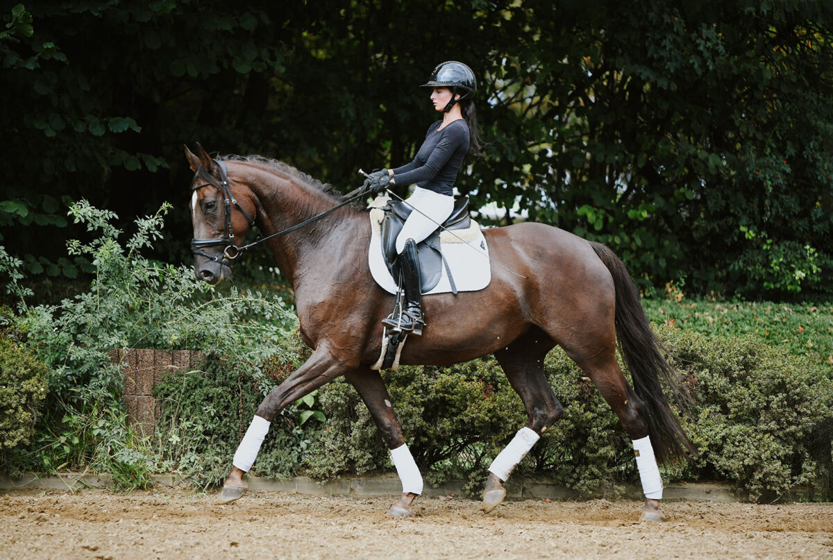DSC 6851 scaled - Frieda