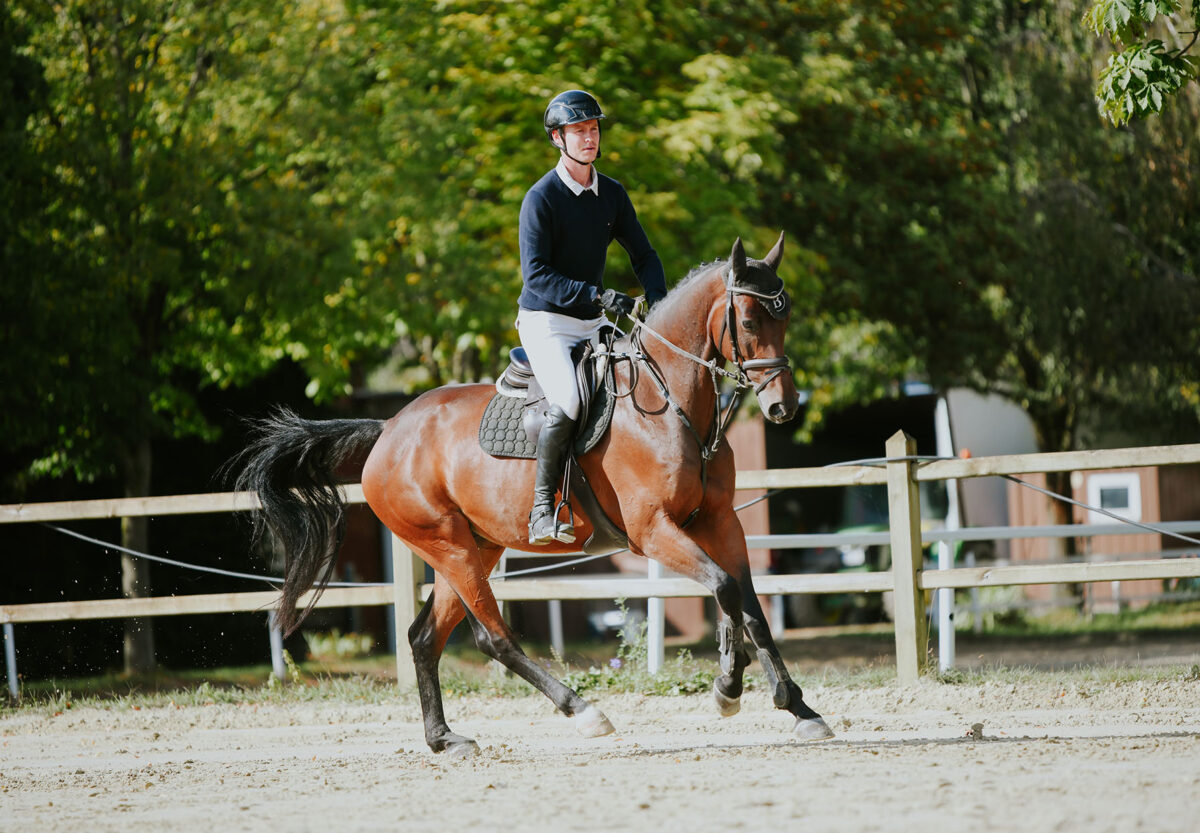 DSC 7793 scaled - Camilla Blue
