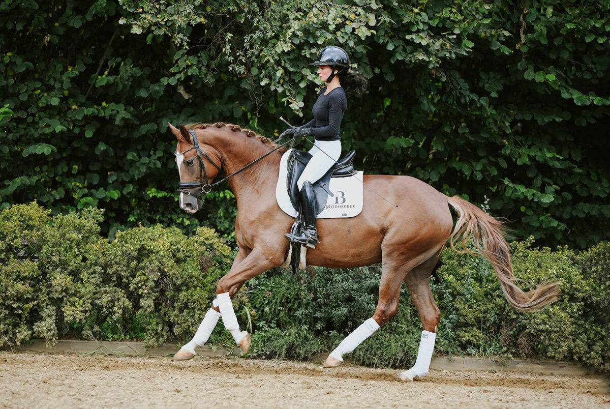 DSC 7976 scaled - Frederike