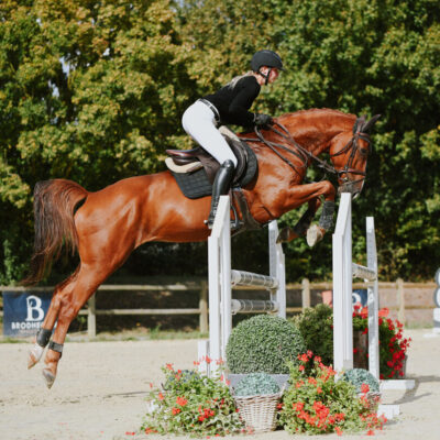 Sportpferde DSC 8147 scaled e1790003055676 400x400 - Sportpferde
