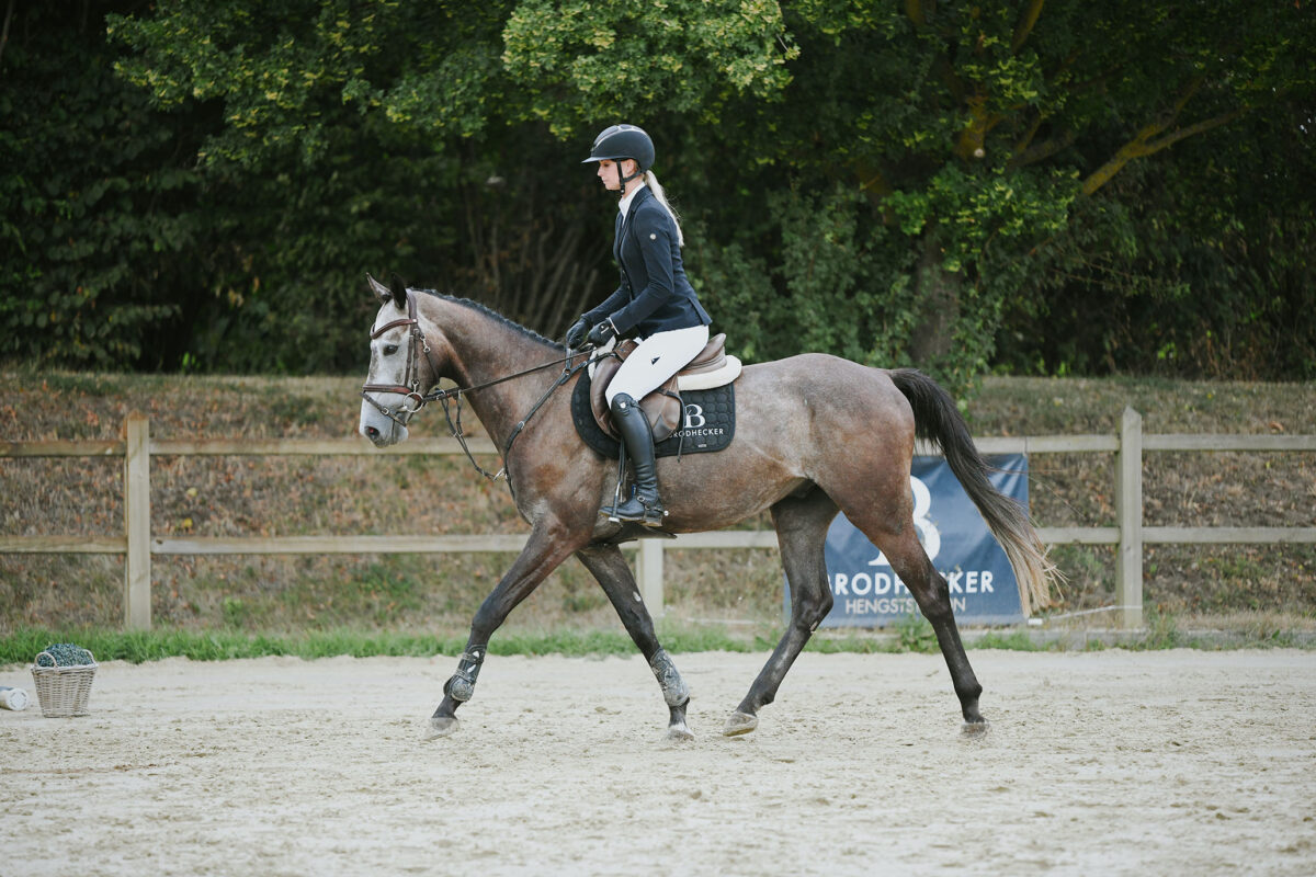 DSC 8376 scaled - Cherokee
