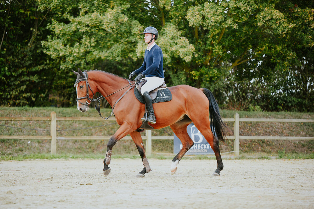 DSC 8470 scaled - Chenoa Blue