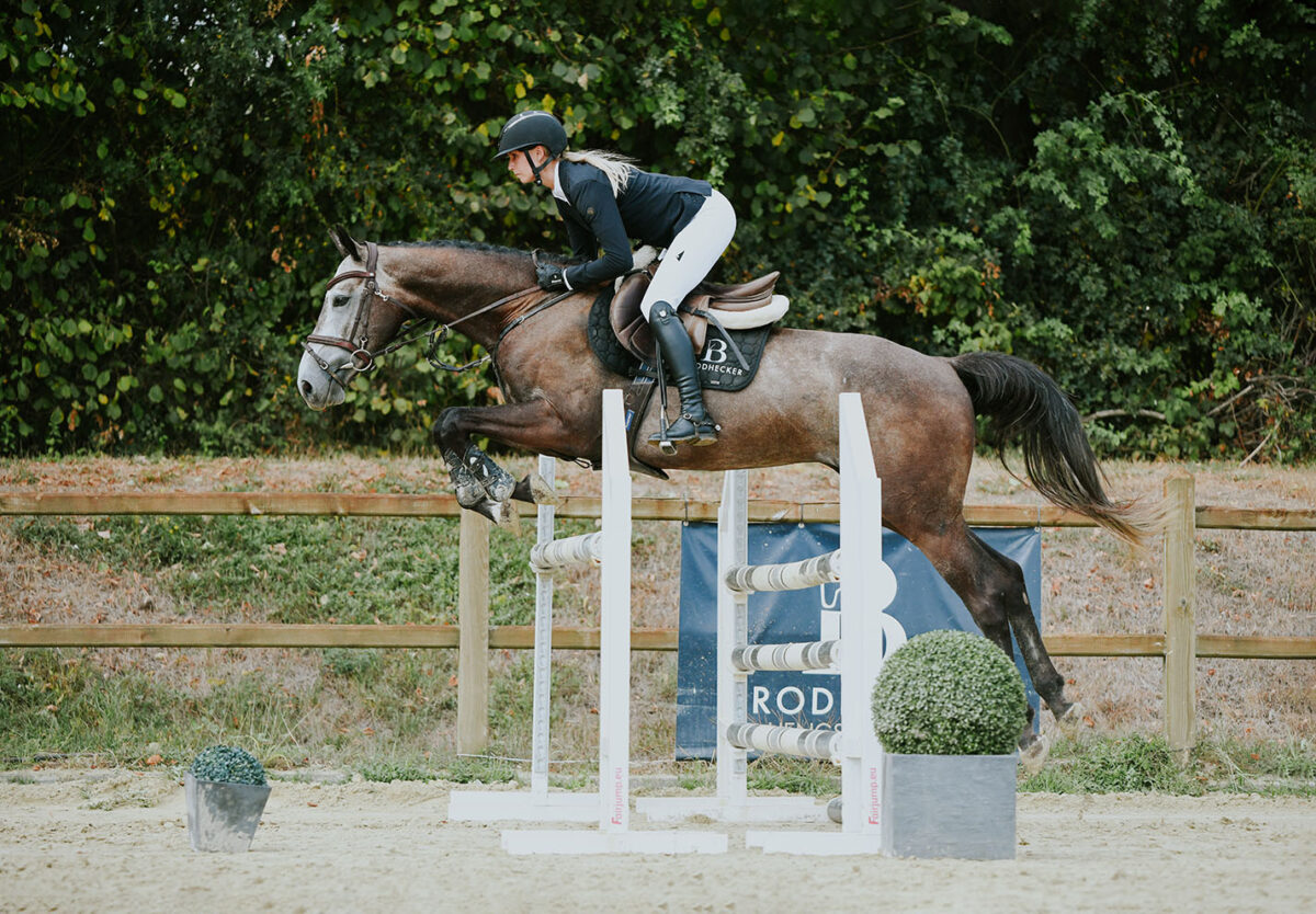 DSC 8507 scaled - Cherokee