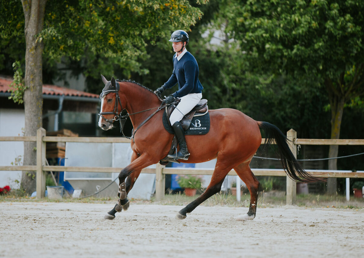 DSC 8601 scaled - Chenoa Blue